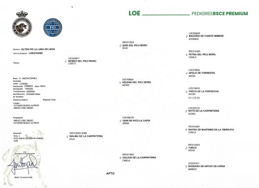 Pedigree Elton de la Luna de León